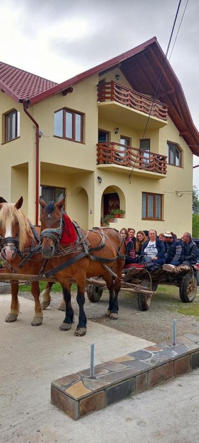 Hotel Sub Creasta Cocosului Breb Esterno foto