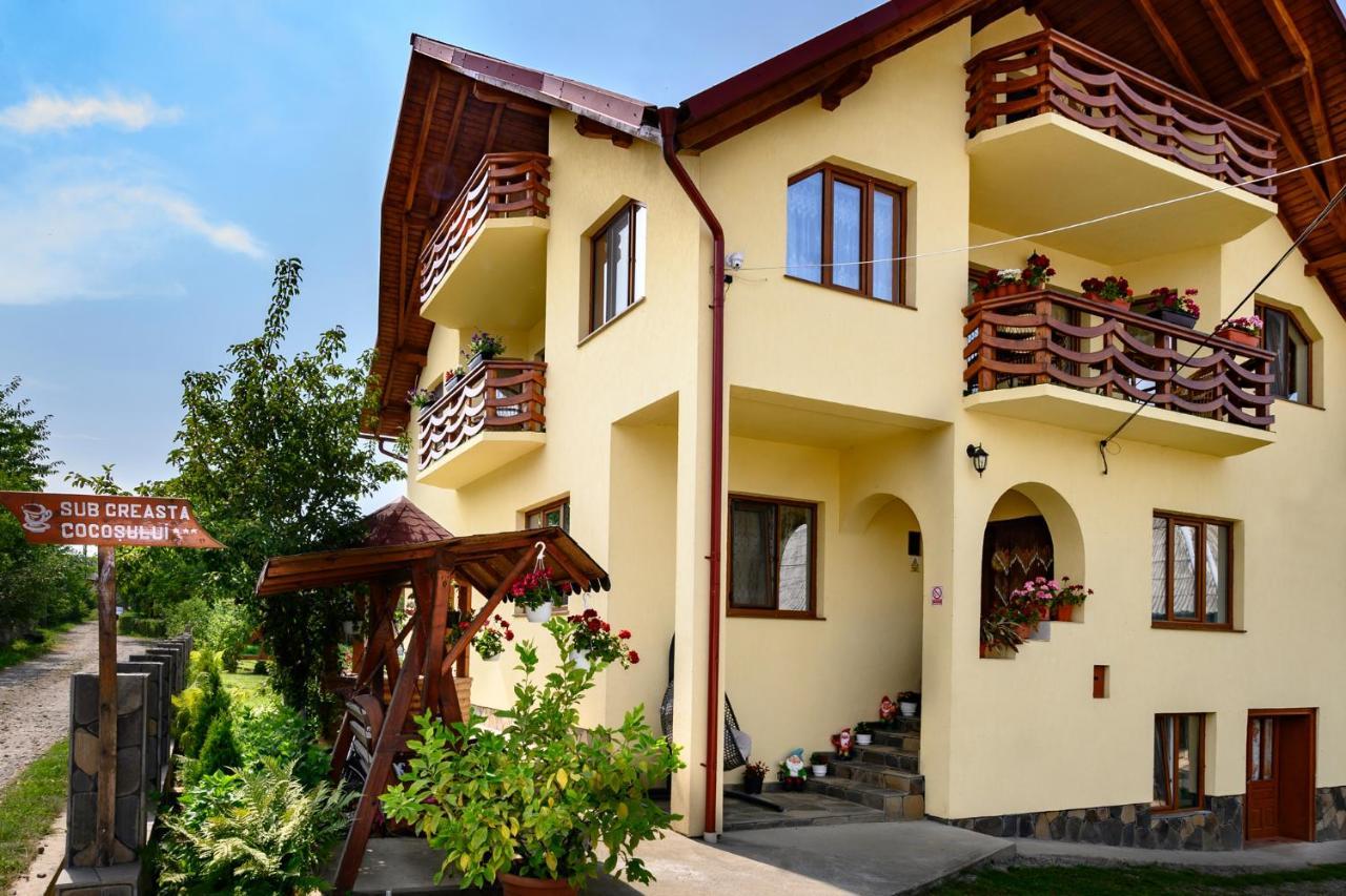 Hotel Sub Creasta Cocosului Breb Esterno foto