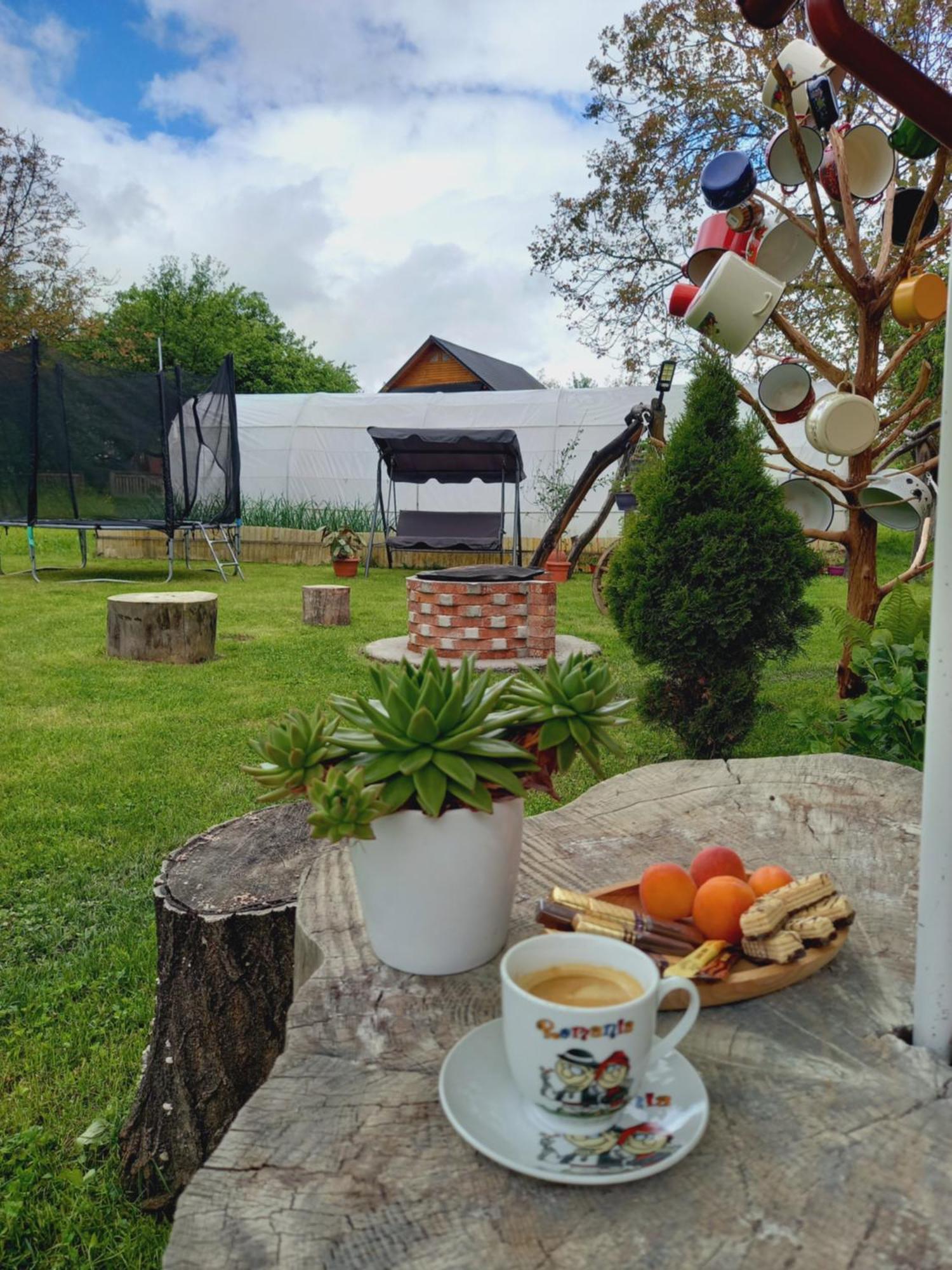 Hotel Sub Creasta Cocosului Breb Esterno foto
