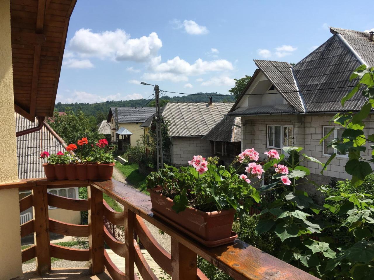 Hotel Sub Creasta Cocosului Breb Esterno foto