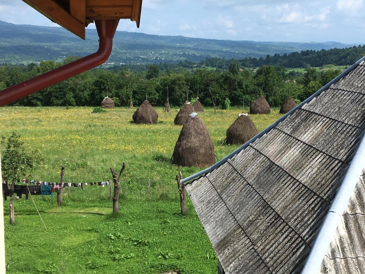 Hotel Sub Creasta Cocosului Breb Esterno foto