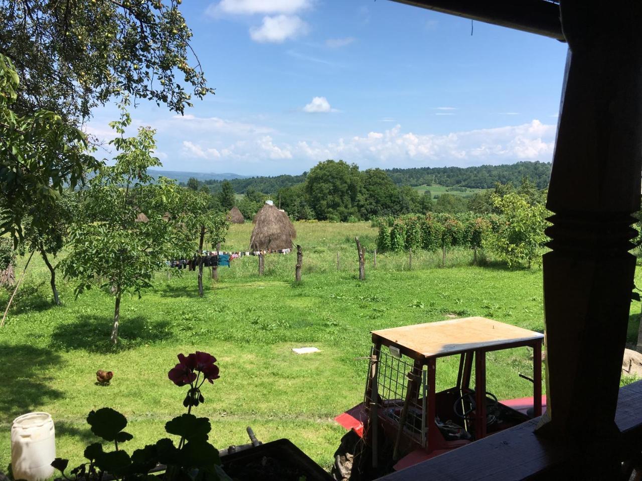 Hotel Sub Creasta Cocosului Breb Esterno foto