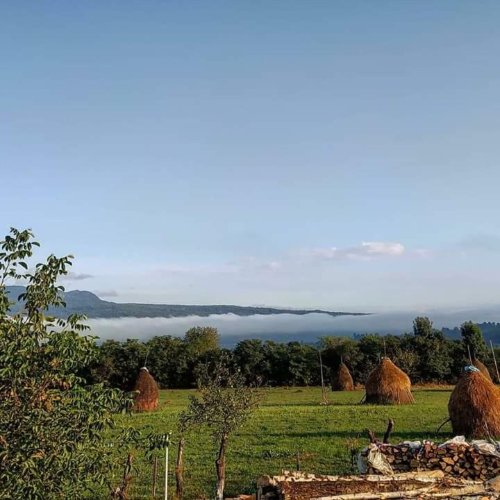 Hotel Sub Creasta Cocosului Breb Esterno foto