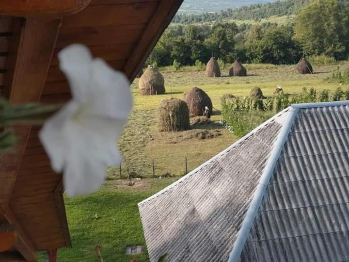 Hotel Sub Creasta Cocosului Breb Esterno foto
