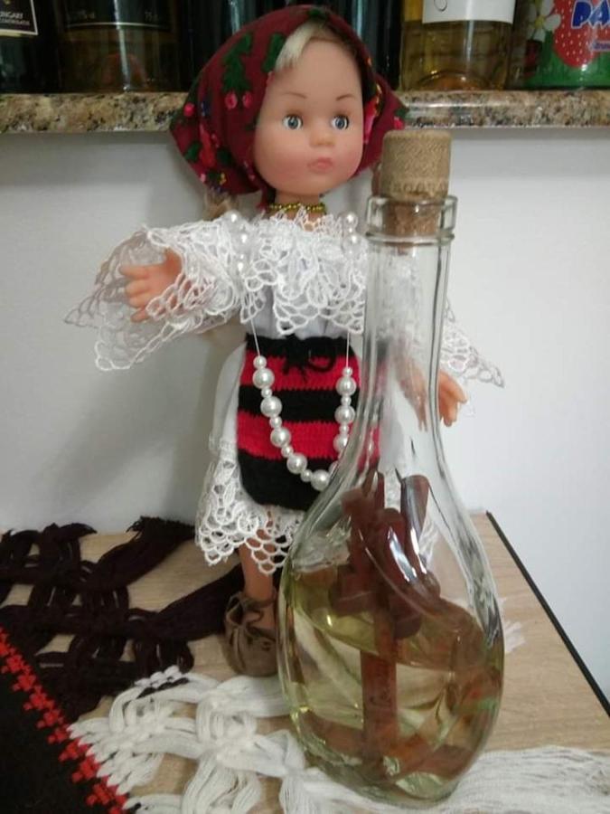 Hotel Sub Creasta Cocosului Breb Esterno foto